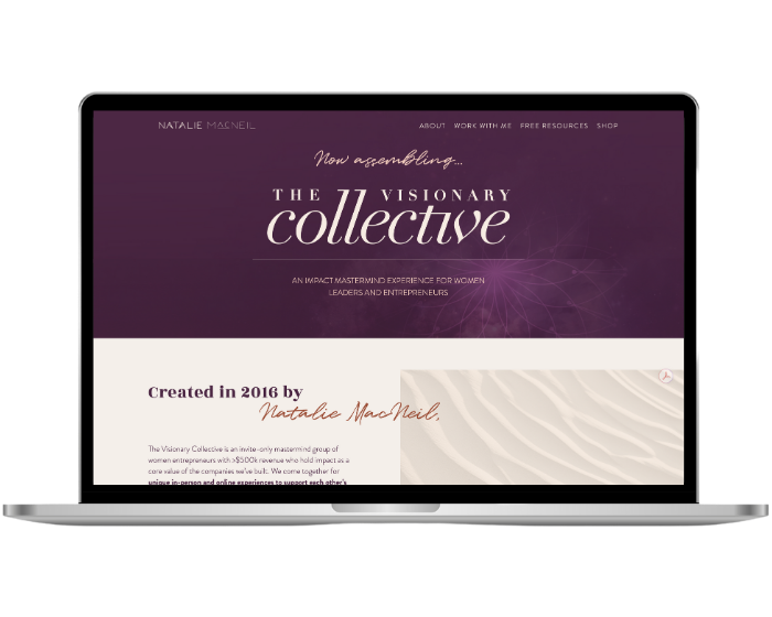 NM The Collective Mockup