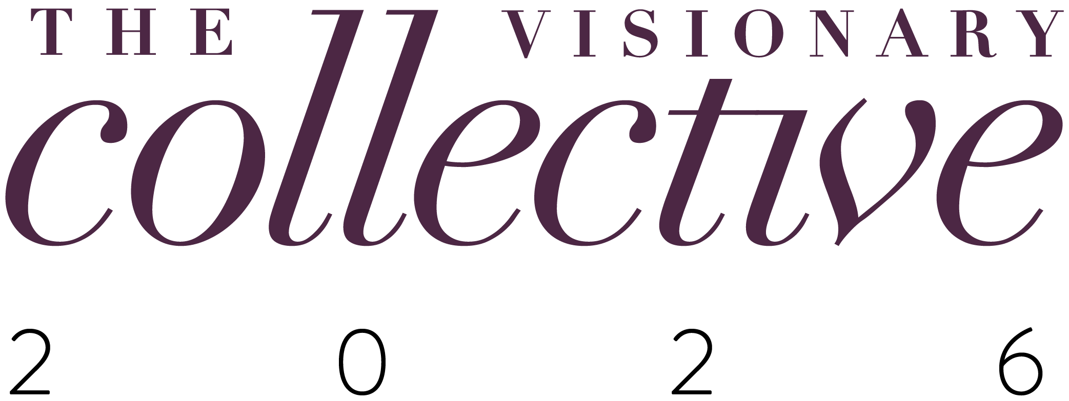 NM - The Visionary Collective Logo V02